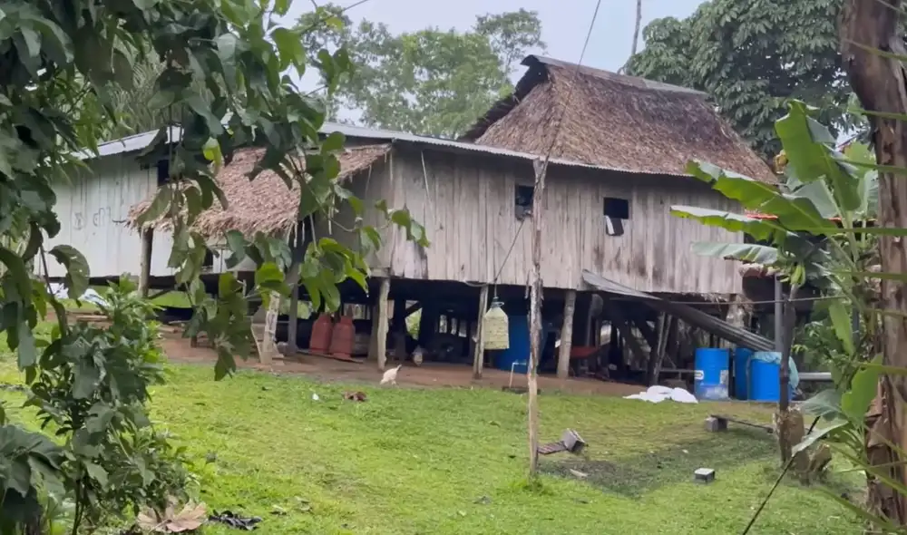 Rosa y Sixto viven aislados en la Amazonía ecuatoriana, donde cultivan yuca, banana y crían gallinas, garantizando su subsistencia familiar durante casi tres décadas.