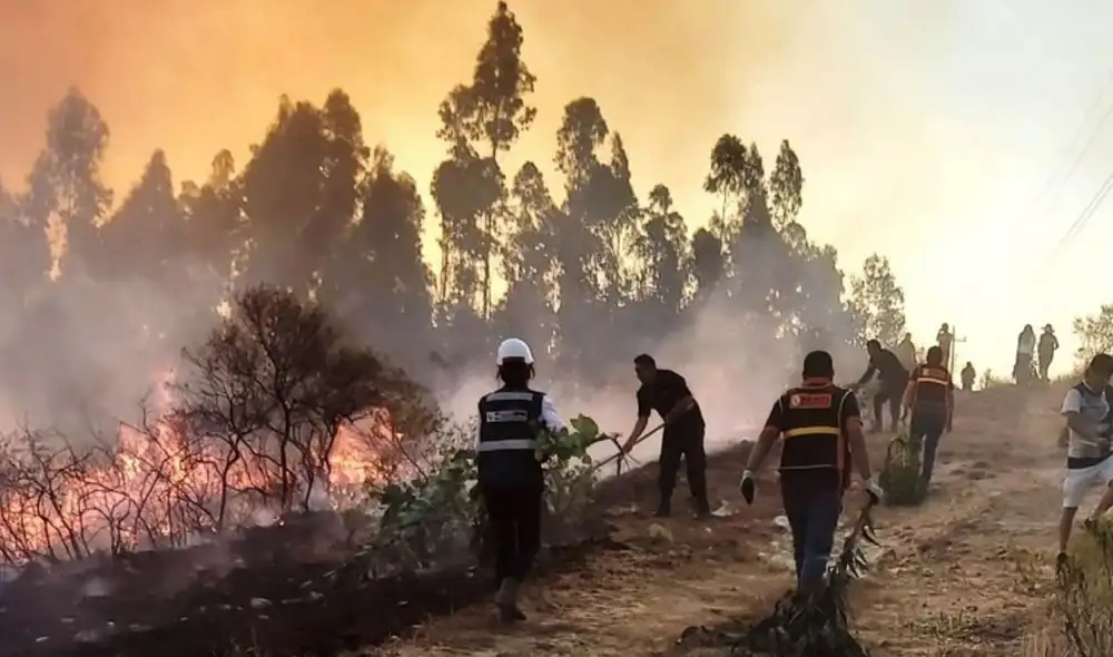 El fenómeno El Niño puede provocar lluvias intensas y, al mismo tiempo, aumentar el riesgo de incendios forestales en Perú. Este proceso podría extender la temporada de incendios a seis meses en 2027.