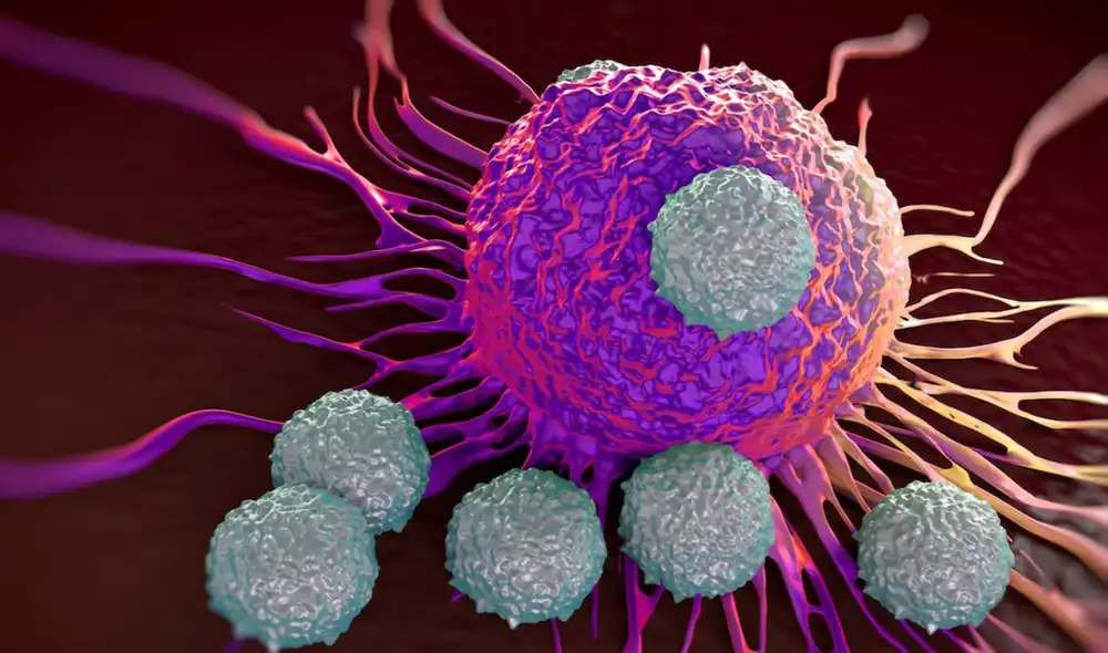 Una terapia modifica las células inmunitarias del paciente para que reconozcan y ataquen las células cancerosas. Foto: iStock Una terapia modifica las células inmunitarias del paciente para que reconozcan y ataquen las células cancerosas. Foto: iStock