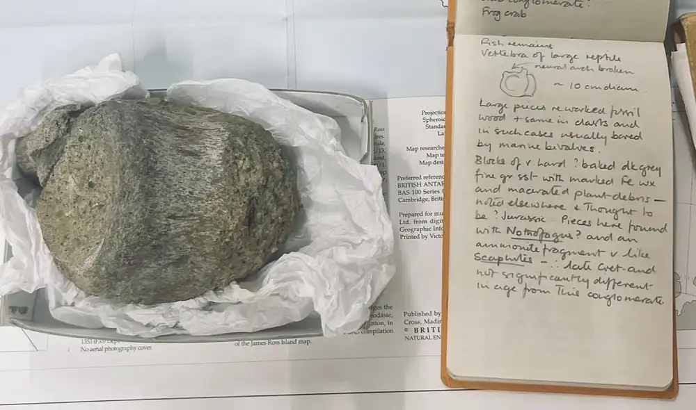 Un nuevo estudio confirma el primer hueso fósil de dinosaurio descubierto en la Antártida. Foto: British Antarctic Survey