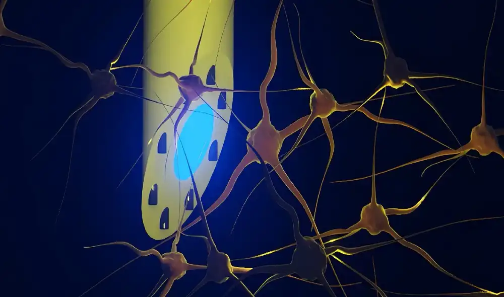 Ilustración del implante que muestra cómo combina luz, señales eléctricas y medicamentos en un único tubo ultrafino. Foto: Kunyang Sui Ilustración del implante que muestra cómo combina luz, señales eléctricas y medicamentos en un único tubo ultrafino. Foto: Kunyang Sui
