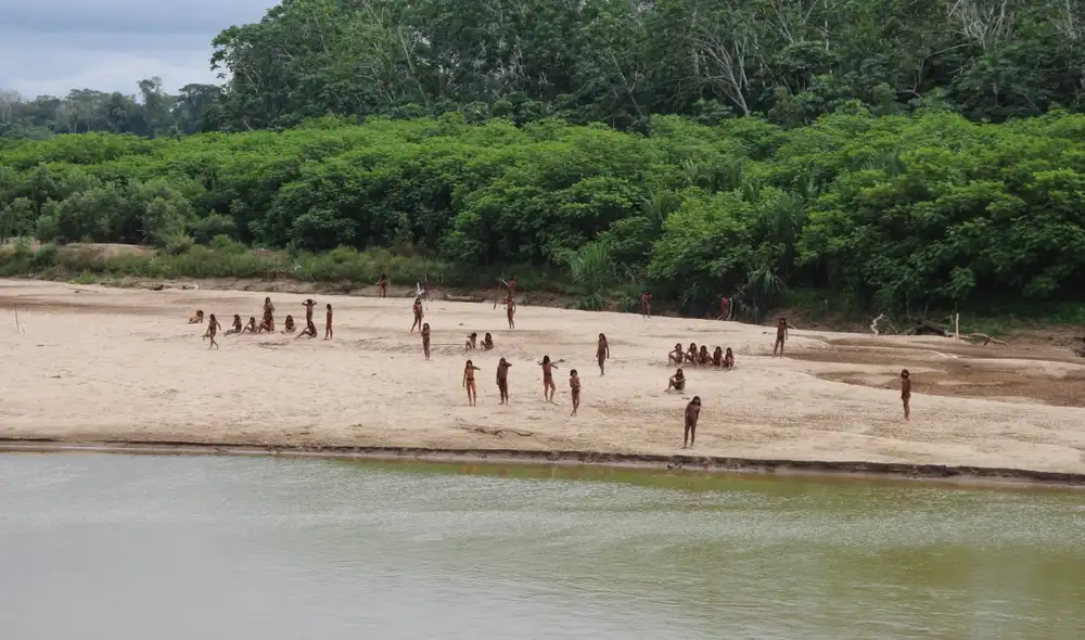 La Federación Nativa del Río Madre de Dios y Afluentes (FENAMAD) interpuso la denuncia ante el sistema interamericano en defensa del pueblo Mashco Piro, de nativos que viven en aislamiento voluntario. La Federación Nativa del Río Madre de Dios y Afluentes (FENAMAD) interpuso la denuncia ante el sistema interamericano en defensa del pueblo Mashco Piro, de nativos que viven en aislamiento voluntario.