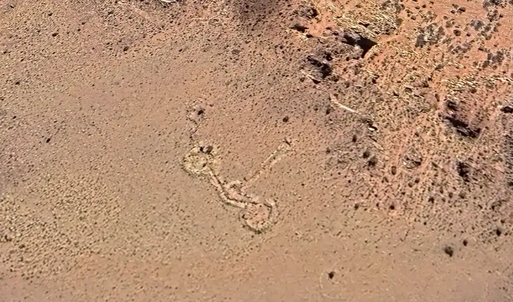 Un andinista descubrió una extraña silueta en la cordillera del Tigre, Mendoza, a través de Google Earth, lo que llevó a arqueólogos de Argentina y España a investigar el hallazgo. Un andinista descubrió una extraña silueta en la cordillera del Tigre, Mendoza, a través de Google Earth, lo que llevó a arqueólogos de Argentina y España a investigar el hallazgo.