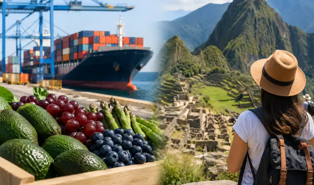 Catherine Eyzaguirre mencionó que la agroexportación y el turismo son ejemplos de sectores cuyos tratamientos tributarios deberían ser evaluados. Catherine Eyzaguirre mencionó que la agroexportación y el turismo son ejemplos de sectores cuyos tratamientos tributarios deberían ser evaluados.