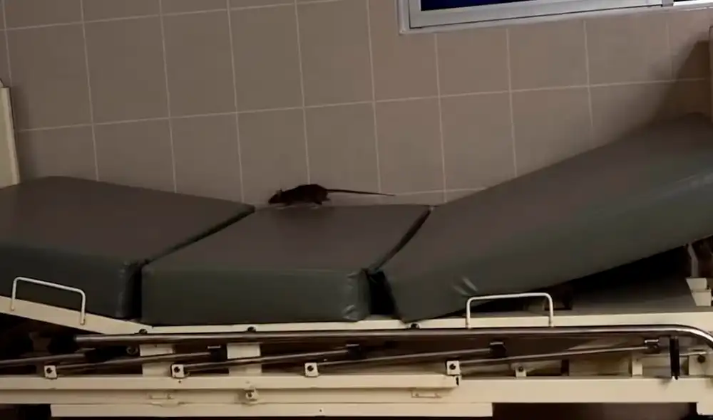 El hecho fue grabado por los familiares de uno de los pacientes. El hecho fue grabado por los familiares de uno de los pacientes.