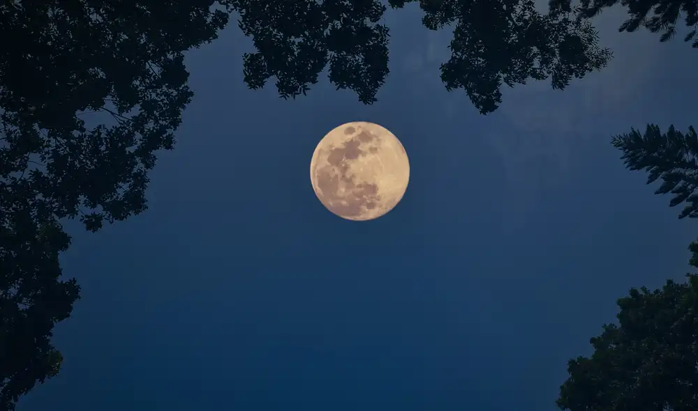 Conoce cuándo habrá luna llena y las demás fases lunares. Foto: Shutterstock