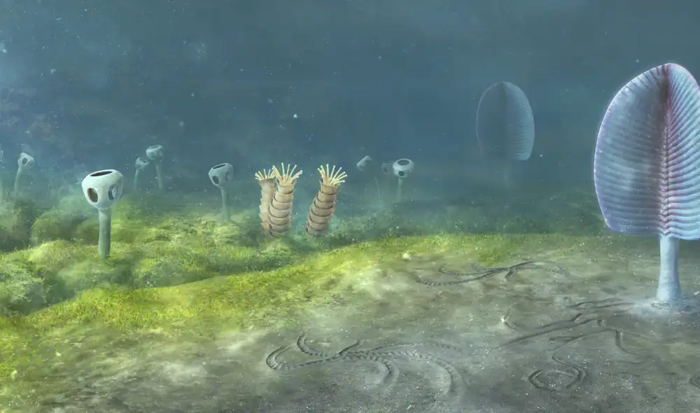 Reconstrucción artística del fondo marino de Namibia, África occidental, hace 543 millones de años. Foto: Museo de Historia Natural, Universidad de Oxford