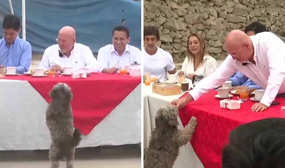 Carlos Bruce da de comer a perrito en desayuno electoral Carlos Bruce da de comer a perrito en desayuno electoral