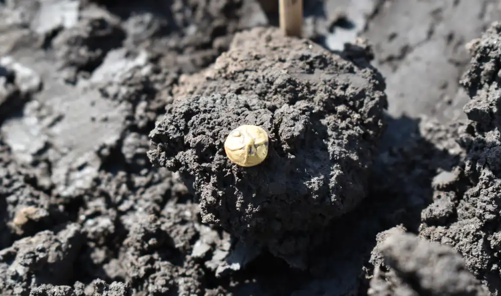 En República Checa, se descubrió un asentamiento celta de 2.200 años de antigüedad que contiene varios cientos de monedas. Foto: Tomáš Mangel En República Checa, se descubrió un asentamiento celta de 2.200 años de antigüedad que contiene varios cientos de monedas. Foto: Tomáš Mangel