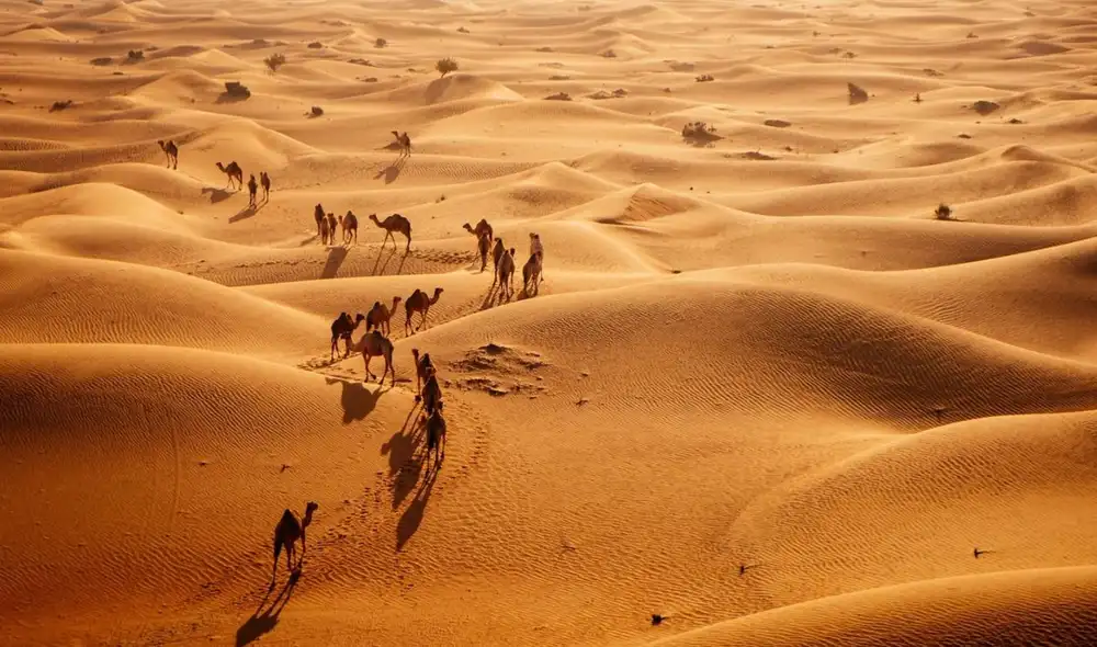 Marruecos impulsa un ambicioso proyecto agrícola en Dajla, transformando 5.200 hectáreas de terreno árido mediante la desalinización del agua del océano Atlántico. Marruecos impulsa un ambicioso proyecto agrícola en Dajla, transformando 5.200 hectáreas de terreno árido mediante la desalinización del agua del océano Atlántico.