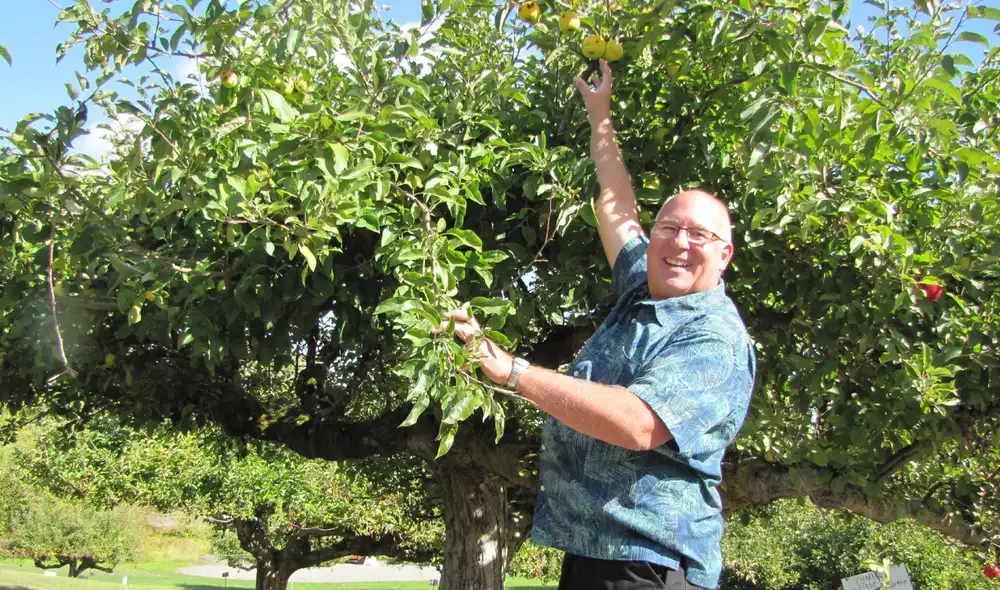 David Benscoter, fundador del Proyecto Manzana Perdida, busca salvar variedades del fruto en peligro de extinción. Foto: Dave Benscoter