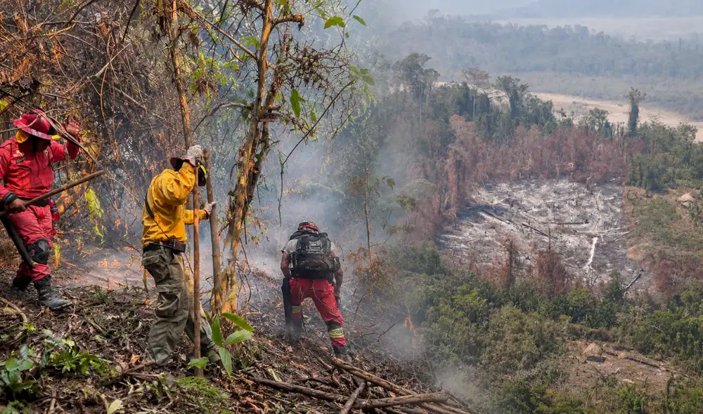 Incendio forestal en Río Tambo Incendio forestal en Río Tambo