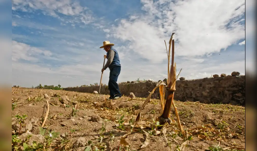 DESPROTECCIÓN. Solo 2,7% de las unidades agropecuarias familiares recibió asistencia técnica en los últimos tres años.