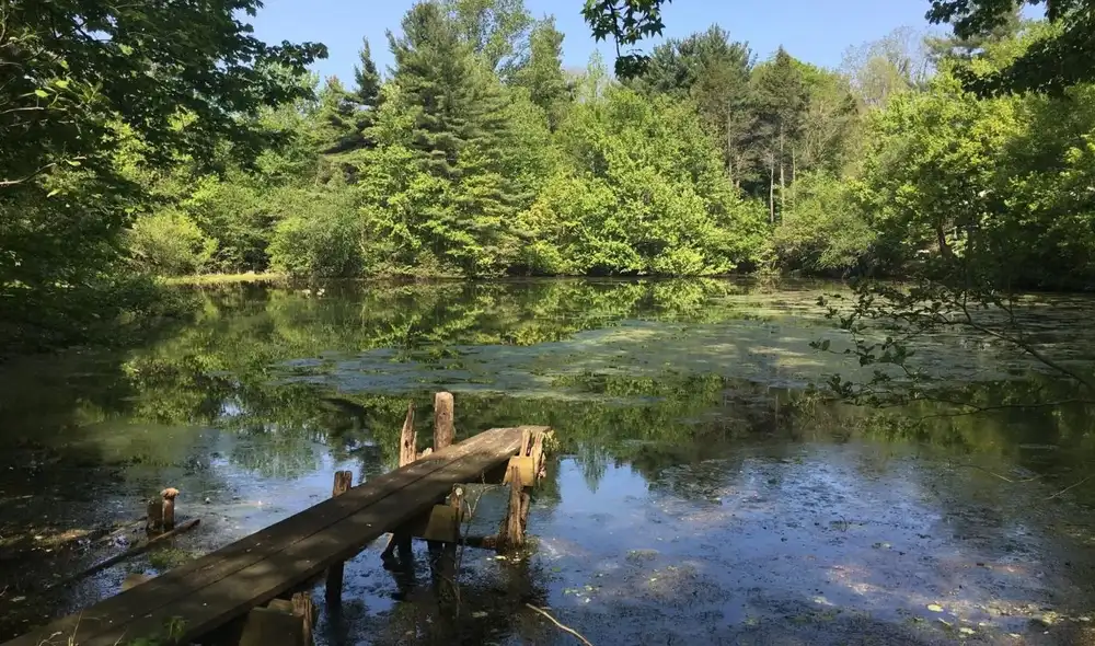 Richard y Elizabeth Scudder dedicaron más de 40 años a proteger su propiedad de 90 acres en Nueva Jersey, convirtiéndola en Scudder Preserve, una reserva natural abierta al público.