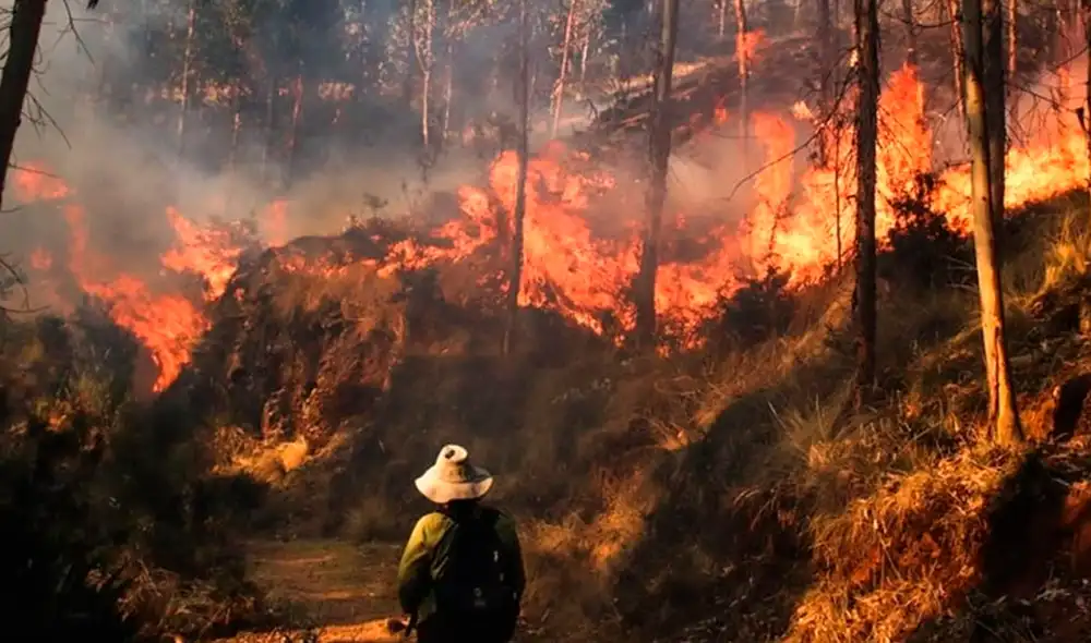 Perú enfrenta una crisis de incendios forestales con 59 siniestros activos, causando la muerte de cinco personas en Cusco y afectando a múltiples regiones. La deforestación y condiciones climáticas adversas son factores críticos. Perú enfrenta una crisis de incendios forestales con 59 siniestros activos, causando la muerte de cinco personas en Cusco y afectando a múltiples regiones. La deforestación y condiciones climáticas adversas son factores críticos.