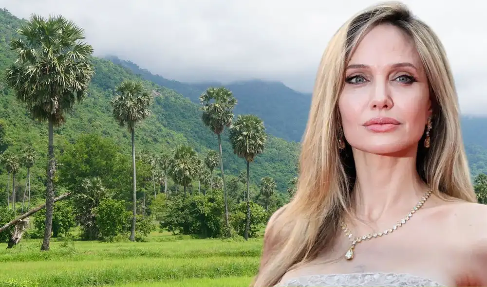 En 2003, la actriz fundó la Fundación Maddox Jolie-Pitt para abordar la conservación ambiental y el desarrollo comunitario. En 2003, la actriz fundó la Fundación Maddox Jolie-Pitt para abordar la conservación ambiental y el desarrollo comunitario.