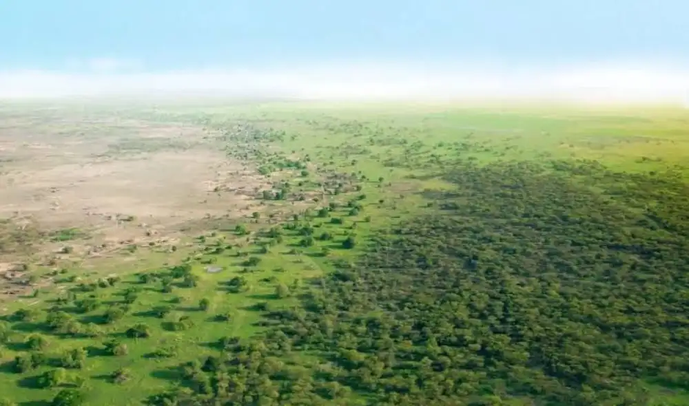La Gran Muralla Verde de África, impulsada por la Unión Africana, busca restaurar 100 millones de hectáreas degradadas a lo largo del Sahel, combatiendo la desertificación.