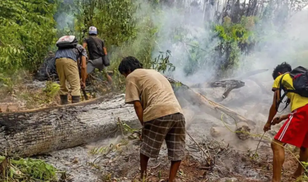 Un incendio forestal en Río Tambo, Junín, está activo desde el 4 de octubre y ha afectado más de 1.000 hectáreas, dañando 11 viviendas y afectando a 50 familias asháninkas.