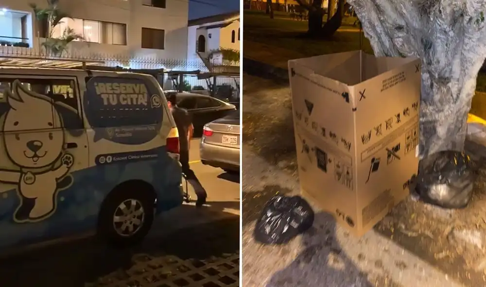 Vecinos de Surco denuncian abandono de cuerpo de perrita en parque por trabajador de veterinaria KoKovet Vecinos de Surco denuncian abandono de cuerpo de perrita en parque por trabajador de veterinaria KoKovet