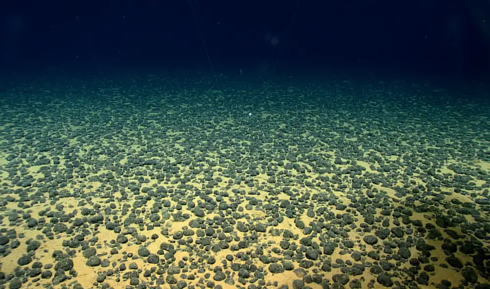 Una investigación marina con vastos depósitos metálicos descubre una gran cantidad de linajes virales. Foto: NOAA Una investigación marina con vastos depósitos metálicos descubre una gran cantidad de linajes virales. Foto: NOAA
