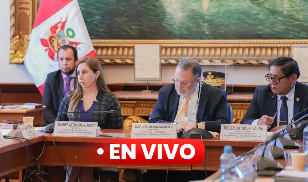 Comisión de Constitución del Senado debate pedido de facultades | Composición: LR.
