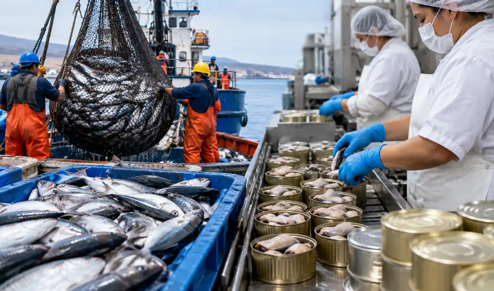 Entre enero y julio de 2026, las exportaciones peruanas de preparaciones y conservas de pescado sumaron US$2,14 millones, según cifras de Sunat procesadas por PromPerú. Entre enero y julio de 2026, las exportaciones peruanas de preparaciones y conservas de pescado sumaron US$2,14 millones, según cifras de Sunat procesadas por PromPerú.
