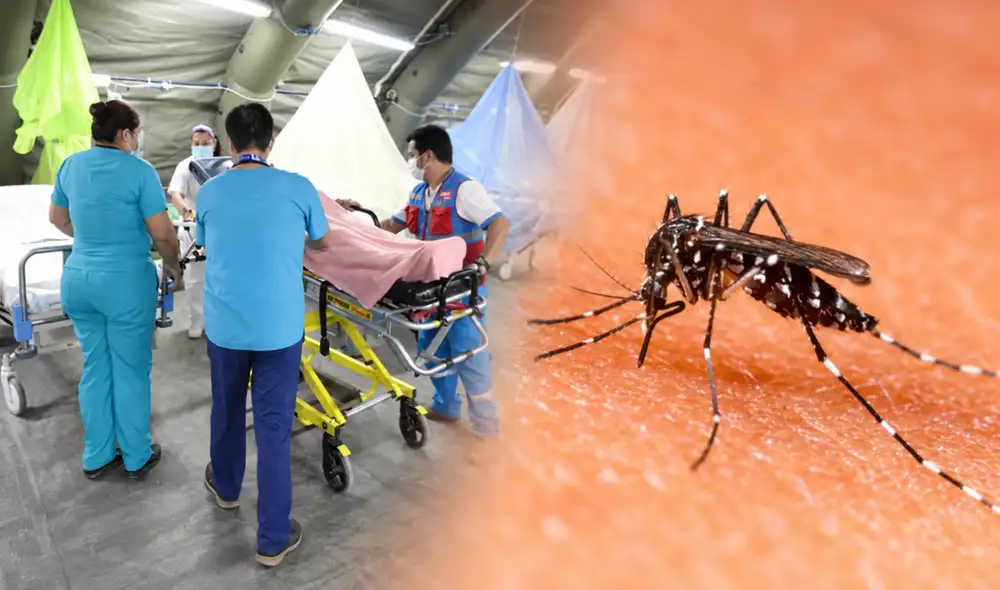 Dengue en Perú
