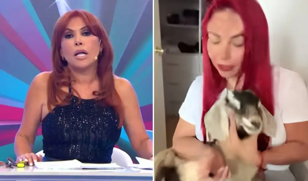 La periodista Magaly Medina le exhortó a Deysi Araujo a que devuelva a la cabra bebé a su habitad natural.