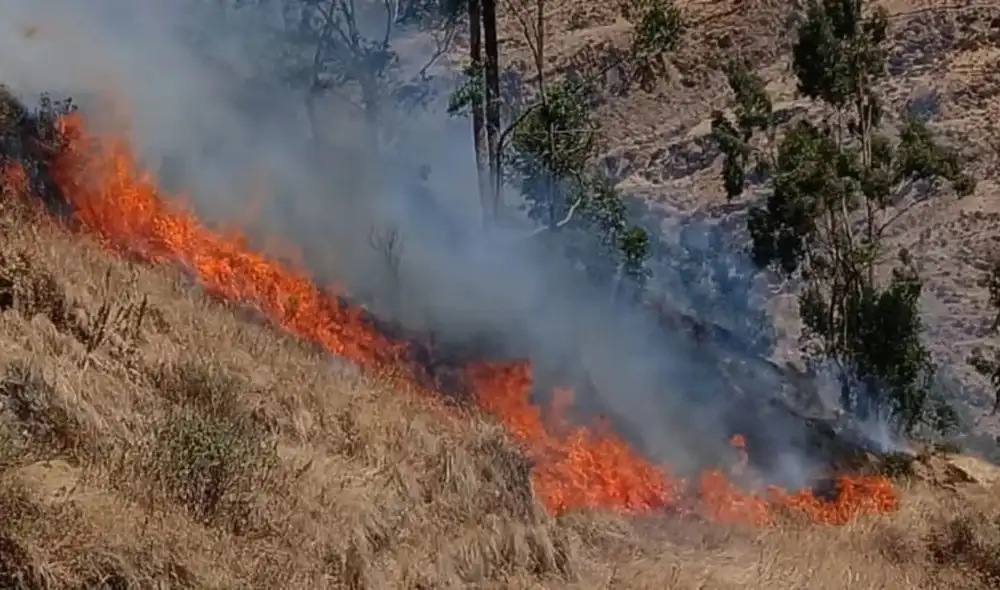 Un incendio forestal en Chupamarca, Huancavelica, destruyó la vivienda del alcalde Agripino Gustavo Pauyac Huaraca y dejó a cuatro personas afectadas por inhalación de humo. Un incendio forestal en Chupamarca, Huancavelica, destruyó la vivienda del alcalde Agripino Gustavo Pauyac Huaraca y dejó a cuatro personas afectadas por inhalación de humo.