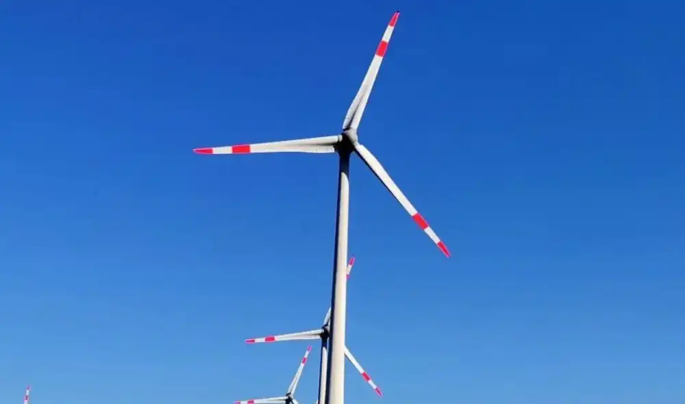 Los parques eólicos utilizan una nueva medida para combatir la muerte de aves. Foto: Windmills Tech