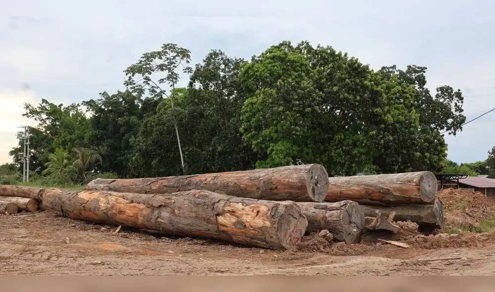 Expo Amazónica Ucayali 2026 propuestas para enfrentar el fenómeno El Niño