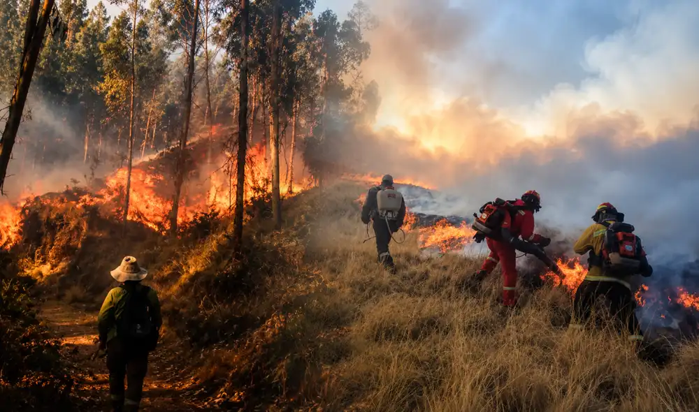 Incendios forestales en Perú