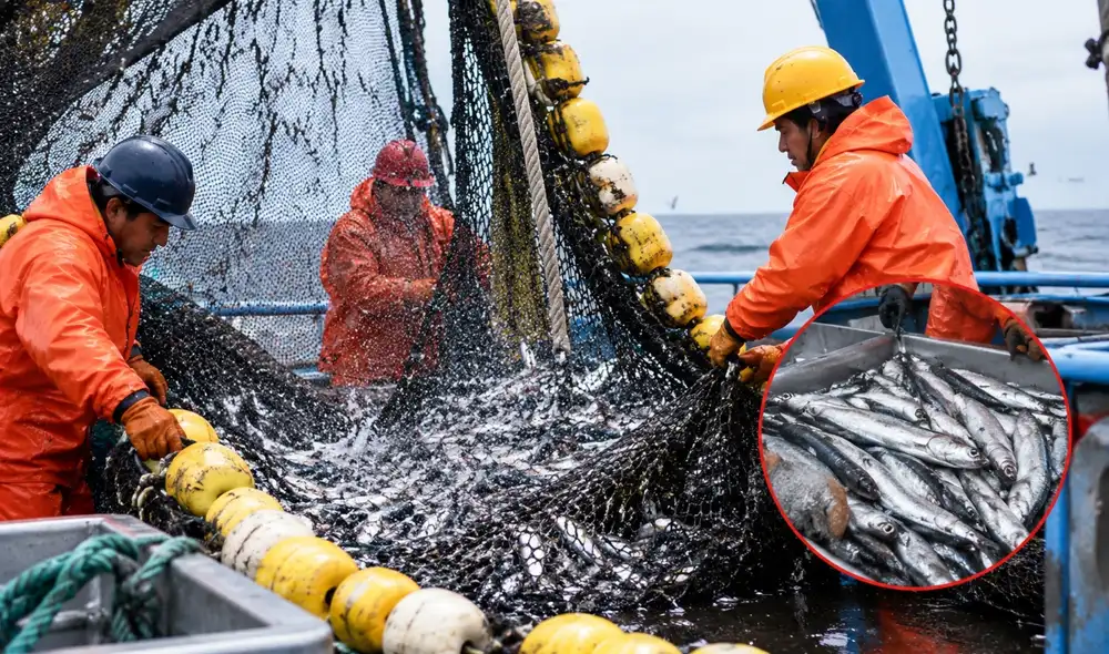 El Ministerio de la Producción autorizó al Imarpe a realizar una pesca exploratoria de samasa por 15 días fuera de las cinco millas náuticas, en el contexto de El Niño 2026-2027.