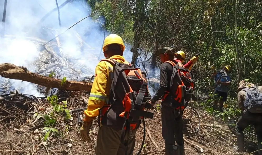 Los incendios forestales en Cutivireni, Junín, han arrasado más de 2.500 hectáreas afectando cultivos y viviendas de comunidades asháninkas. La situación es preocupante ante el incremento de las temperaturas.