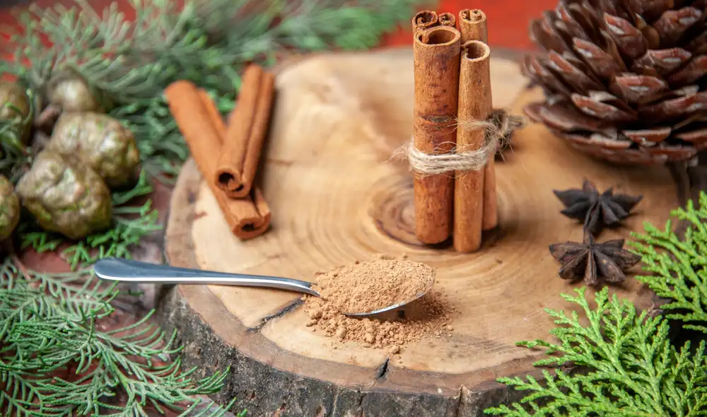 La canela, común en la cocina, se usa como remedio casero para plantas al espolvorearla sobre la tierra, ayudando a prevenir hongos. La canela, común en la cocina, se usa como remedio casero para plantas al espolvorearla sobre la tierra, ayudando a prevenir hongos.