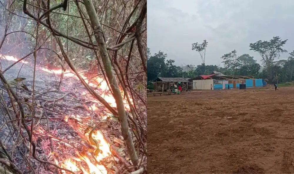 El incendio forestal en la comunidad nativa de Cutivireni, distrito de Río Tambo, fue extinguido tras 19 días, gracias a las lluvias recientes. Las autoridades siguen con el monitoreo de la zona para evitar reactivaciones. El incendio forestal en la comunidad nativa de Cutivireni, distrito de Río Tambo, fue extinguido tras 19 días, gracias a las lluvias recientes. Las autoridades siguen con el monitoreo de la zona para evitar reactivaciones.