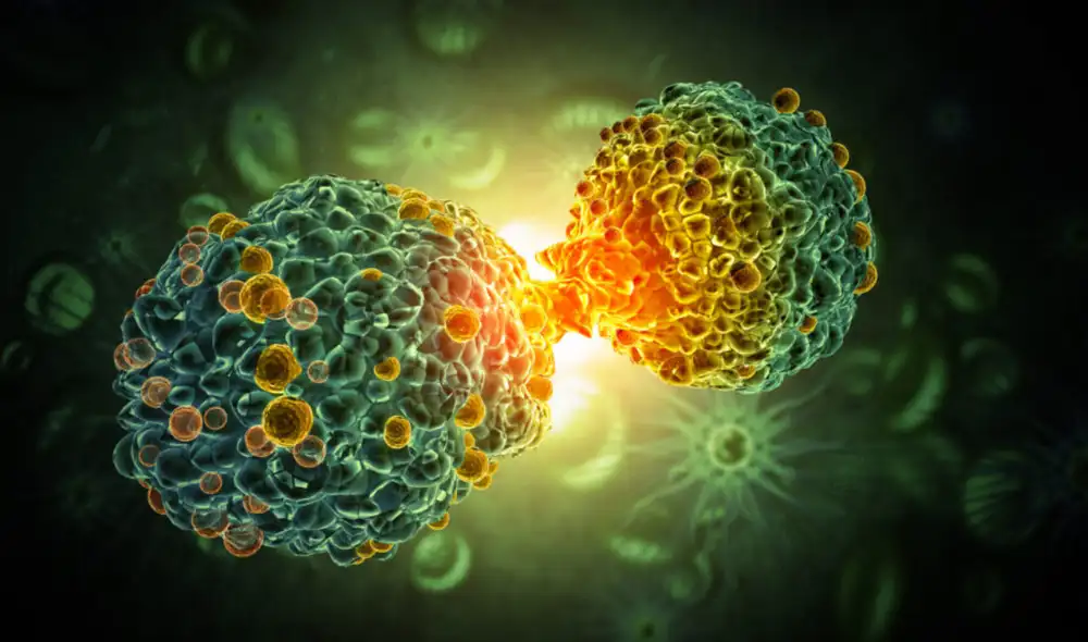 Descubren cómo el cáncer de páncreas evoluciona constantemente e identifican una vía prometedora para revertirlo. Foto: Shutterstock Descubren cómo el cáncer de páncreas evoluciona constantemente e identifican una vía prometedora para revertirlo. Foto: Shutterstock