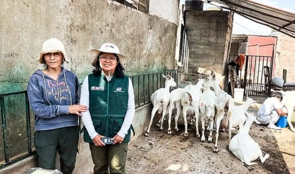 El proyecto Procap del INIA ha brindado capacitación y asistencia técnica a estas productoras, fortaleciendo su producción de derivados lácteos y promoviendo la calidad de quesos artesanales peruanos. El proyecto Procap del INIA ha brindado capacitación y asistencia técnica a estas productoras, fortaleciendo su producción de derivados lácteos y promoviendo la calidad de quesos artesanales peruanos.