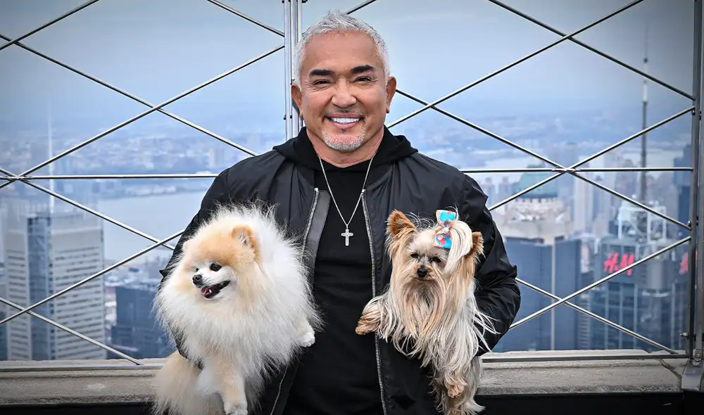 César Millán, experto en comportamiento canino, reflexionó en una charla en Quezon City sobre cómo las emociones de los dueños impactan en la conducta de sus perros, resaltando la importancia de la comunicación no verbal. César Millán, experto en comportamiento canino, reflexionó en una charla en Quezon City sobre cómo las emociones de los dueños impactan en la conducta de sus perros, resaltando la importancia de la comunicación no verbal.