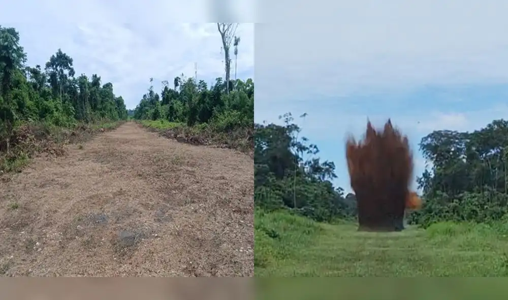La Dirandro destruyó 4 narcopistas en Huánuco.