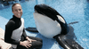 El trágico caso de la entrenadora que fue asesinada por la orca que adiestró durante varios años
