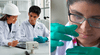 ¿Por qué los jóvenes no escogen Ingeniería Química a pesar de ser una CARRERA demandada en Perú?