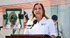 Dina Boluarte: ¿qué infracción administrativa y delitos habría cometido la presidenta en el caso Rolex?