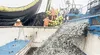 MEF considera que la economía se viene recuperando: ¿cuáles son las razones?