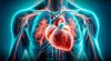 ¡Atención! Médicos reconocen nuevo órgano en el cuerpo humano: está cerca al corazón