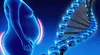 Investigadores descubren que la grasa del cuerpo posee 'memoria' y es responsable del sobrepeso