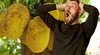 Esta fruta crece en Sudamérica: ayudaría a regular los niveles de azúcar y previene los antojos entre comidas