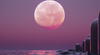 Luna Rosa de abril 2025 en Panamá: ¿cuándo, a qué hora y cómo ver la luna llena este fin de semana?