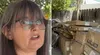 Mujer recibe paquetes de Amazon que no pidió durante un año: vendedor usó su casa como dirección de retorno