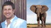 Muere millonario dueño de safari tras ser atacado y pisoteado por un elefante en Sudáfrica